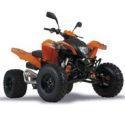 Adly 450